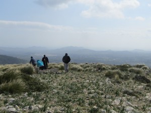 IMG_4793 (Medium)